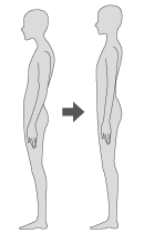 姿勢と背骨